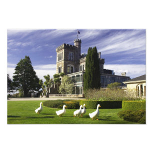 Impression Photo Château Larnach, péninsule d'Otago, Dunedin,
