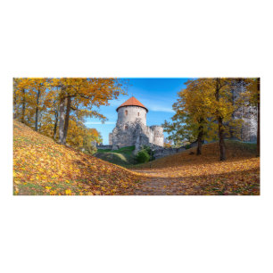 Impression Photo Château médiéval entouré de forêt