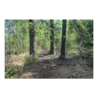 Impression Photo Chemin de forêt