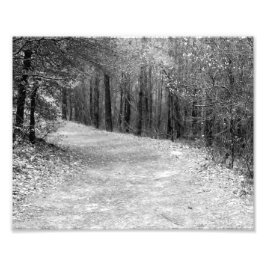 Impression Photo Chemin Moins Voyagé B&W