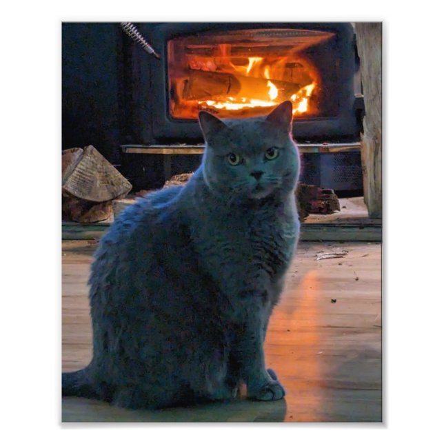 Impression Photo Cheminée Kitty de Shorthair britannique (Devant)