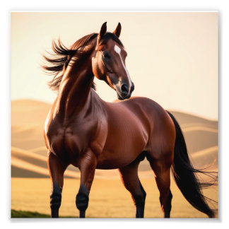 Impression Photo cheval américain