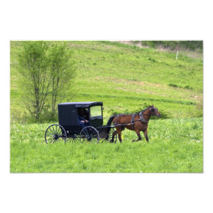 Impression Photo Cheval Amish et buggy près de Berlin, Ohio.