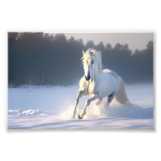 Impression Photo Cheval blanc en Neige, Chevaux, hiver