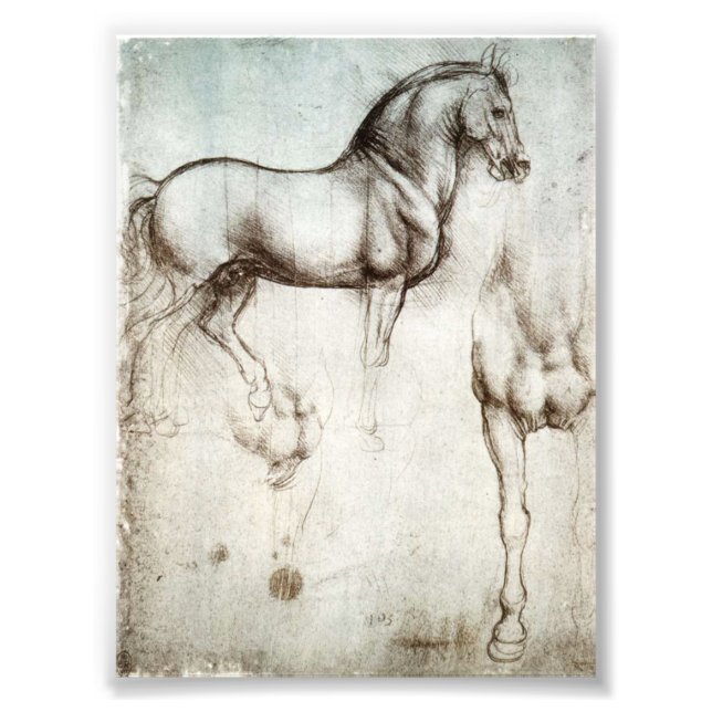 Impression Photo Cheval Da Vinci (Devant)