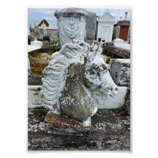 Impression Photo Cheval en deuil