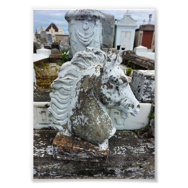 Impression Photo Cheval en deuil (Devant)