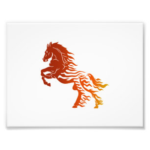 Impression Photo Cheval flamboyant - Choisir la couleur arrière - 