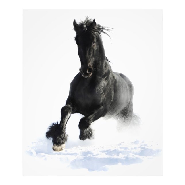 Impression Photo Cheval Friésien Noir En Neige (Devant)