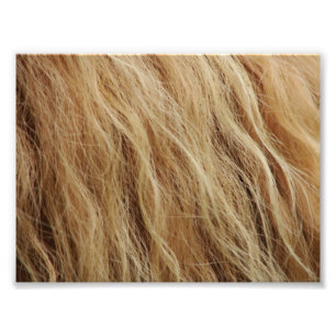 Impression Photo Cheval Mane