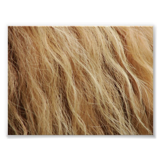 Impression Photo Cheval Mane (Devant)