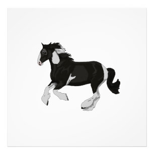 Impression Photo Cheval Tzigane noir et blanc Paint Pinto