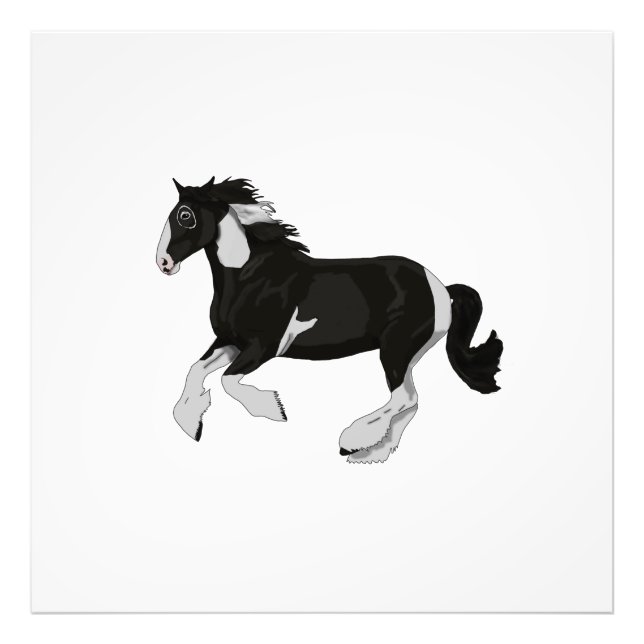 Impression Photo Cheval Tzigane noir et blanc Paint Pinto (Devant)