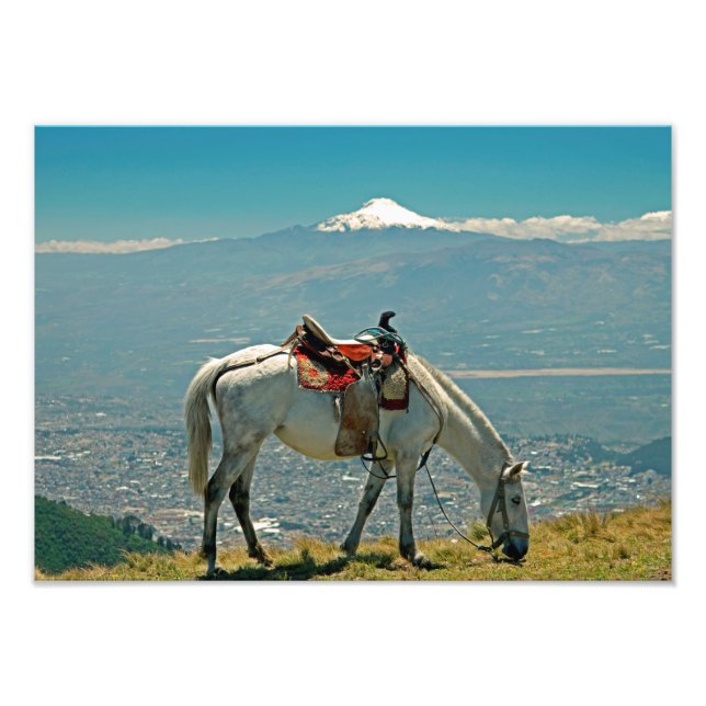 Impression Photo Cheval & volcan, Quito, Equateur (Devant)