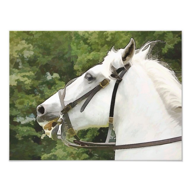 IMPRESSION PHOTO CHEVAUX (Devant)