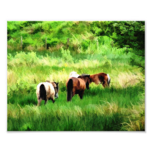 IMPRESSION PHOTO CHEVAUX