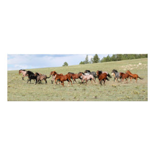Impression Photo Chevaux appréciant l'ouest grand ouvert