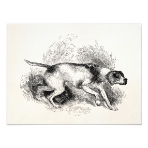 Impression Photo Chien de chasse à pointeur vintage 1800s Pointeurs