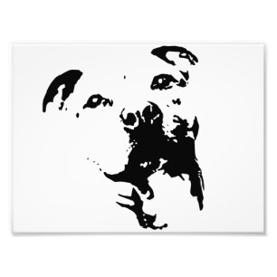 Impression Photo Chien de Pitbull