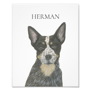 Impression Photo Chien de poche Heeler bleu personnalisé