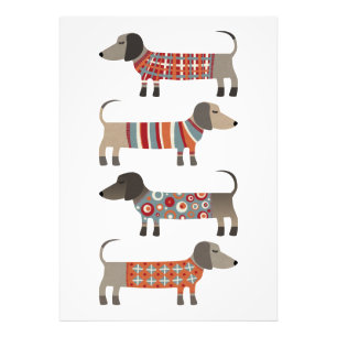 Impression Photo Chien de saucisse Dachshund