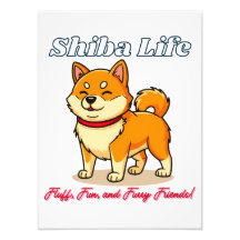 Chien de Shiba Inu le plus heureux