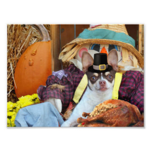 Impression Photo Chien de Thanksgiving Chihuahua