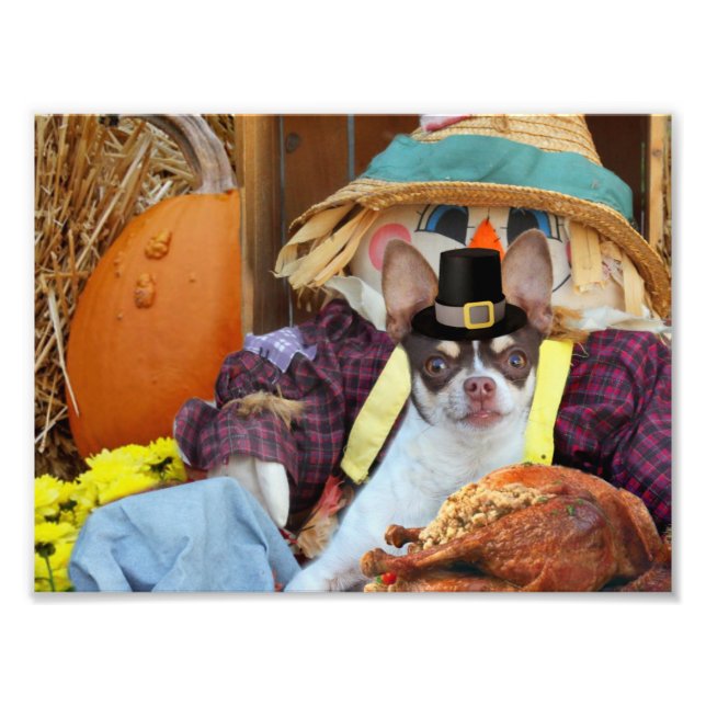 Impression Photo Chien de Thanksgiving Chihuahua (Devant)