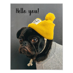 Impression Photo Chien mignon carlin portant une affiche murale en 