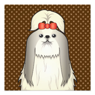Impression Photo Chien Tzu Chien, pattes de dessin