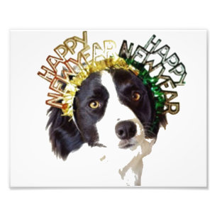 Impression Photo Chien vêtu d'un joyeux Casquette du Nouvel An