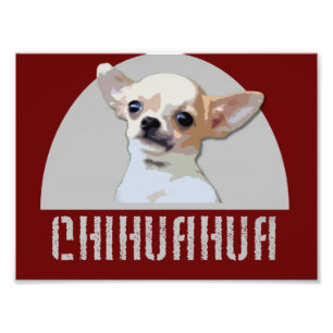 Impression Photo Chihuahua