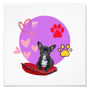 Impression Photo Chiot frienchie adorable avec des coeurs