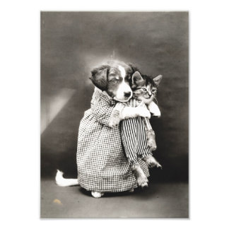 Impression Photo Chiot tenant Petit Kitten