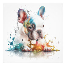 Chiots Bouledogue Français Aquarelle