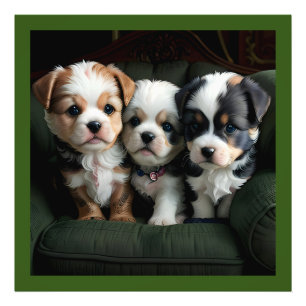 Impression Photo Chiots super mignons sur le canapé 2