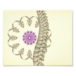 Impression Photo Chiropractie spinale d'illustration d'anatomie