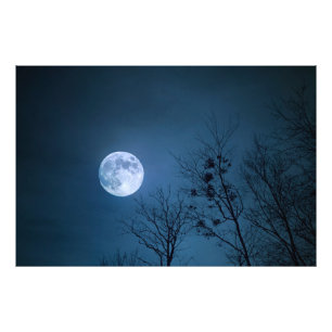 Impression Photo Ciel nocturne effrayant avec des arbres stériles e