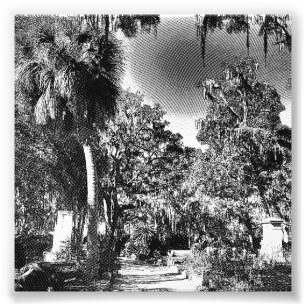 Impression Photo Cimetière colonial