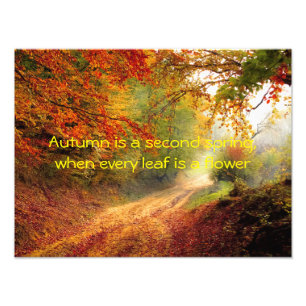 Impression Photo Citation d'automne