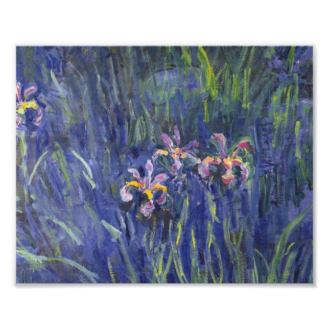 Impression Photo Claude Monet - Irises (Devant)