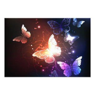 Impression Photo Clowing Night Butterflies