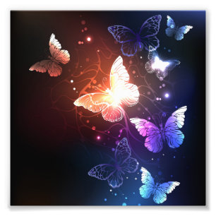 Impression Photo Clowing Night Butterflies