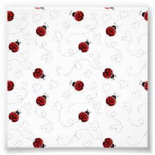 Impression Photo Coccinelle Rouge Coléoptère Insecte Amoureux Cœurs