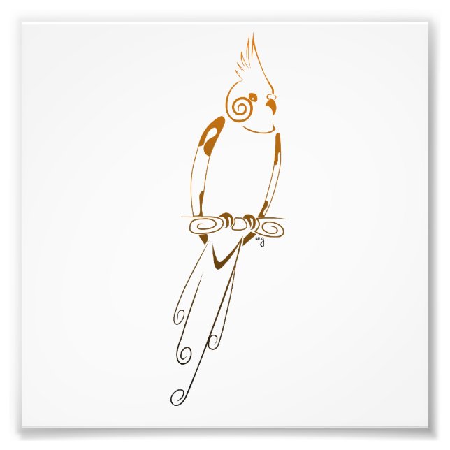 Impression Photo Cockatiel (Devant)