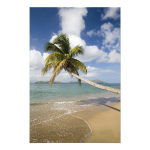 Impression Photo Coconut Grove Beach à Cades Bay, avec St.