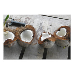 Impression Photo Cocotiers tropicaux, Bocas del Toro, Panama [Photo