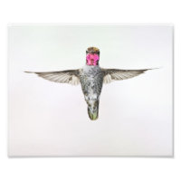 Colibri