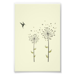 Impression Photo Colibri et Dandelion
