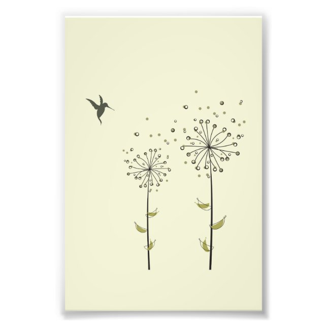 Impression Photo Colibri et Dandelion (Devant)